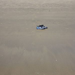 Meet your Posher, Richard